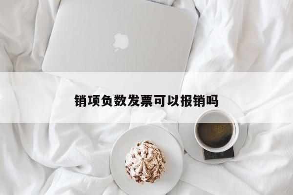 銷項負數發票可以報銷嗎