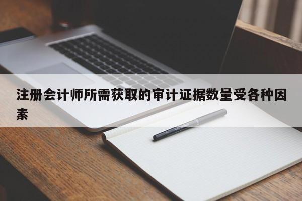注冊會計師所需獲取的審計證據數量受各種因素