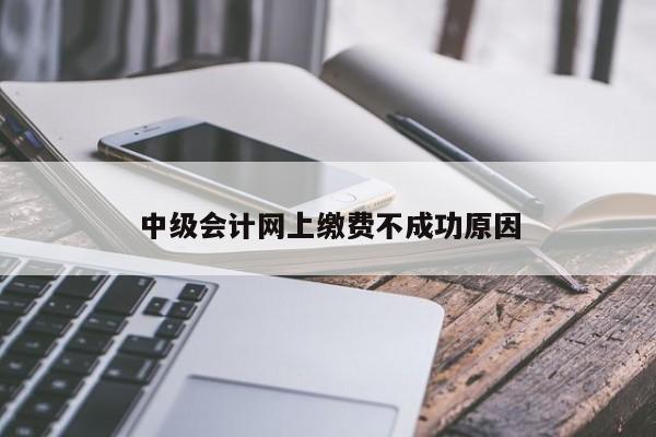 中級會計網上繳費不成功原因