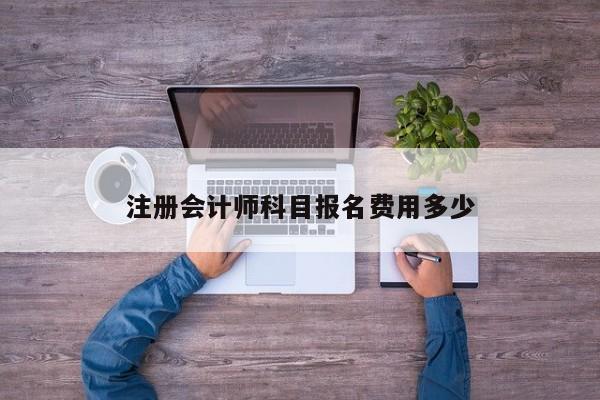 注冊會計師科目報名費用多少
