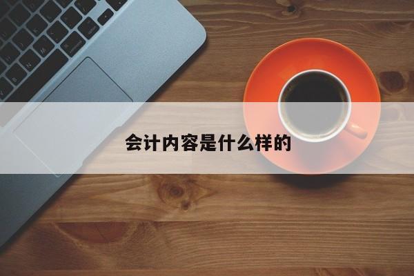會計內容是什么樣的
